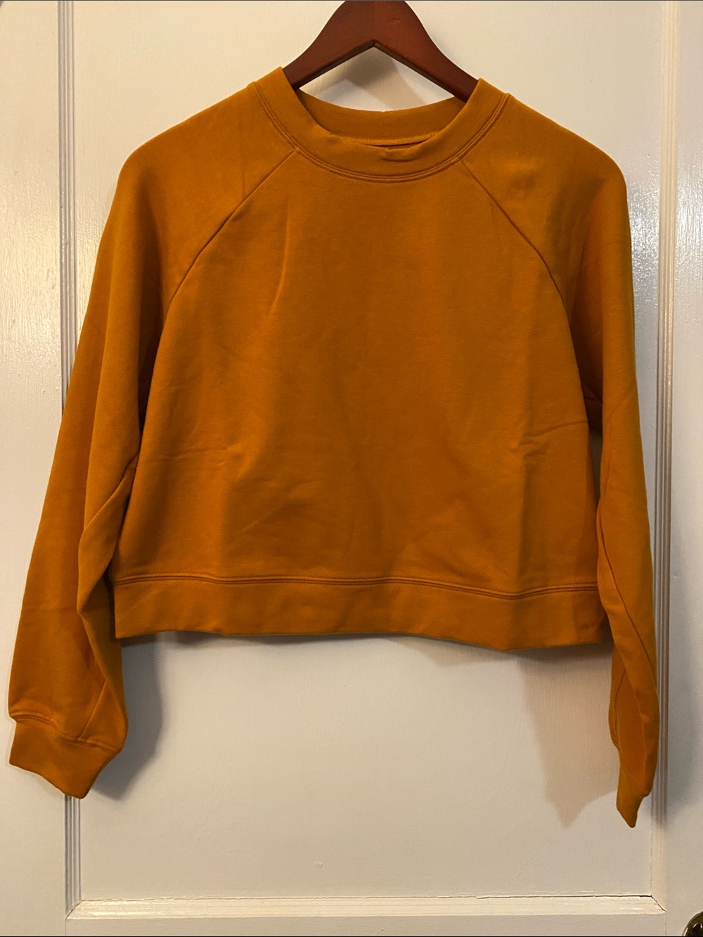 Born Primitive Unmatched  Cropped Crewneck Sweatshirt in Honey Ginger Small NWT